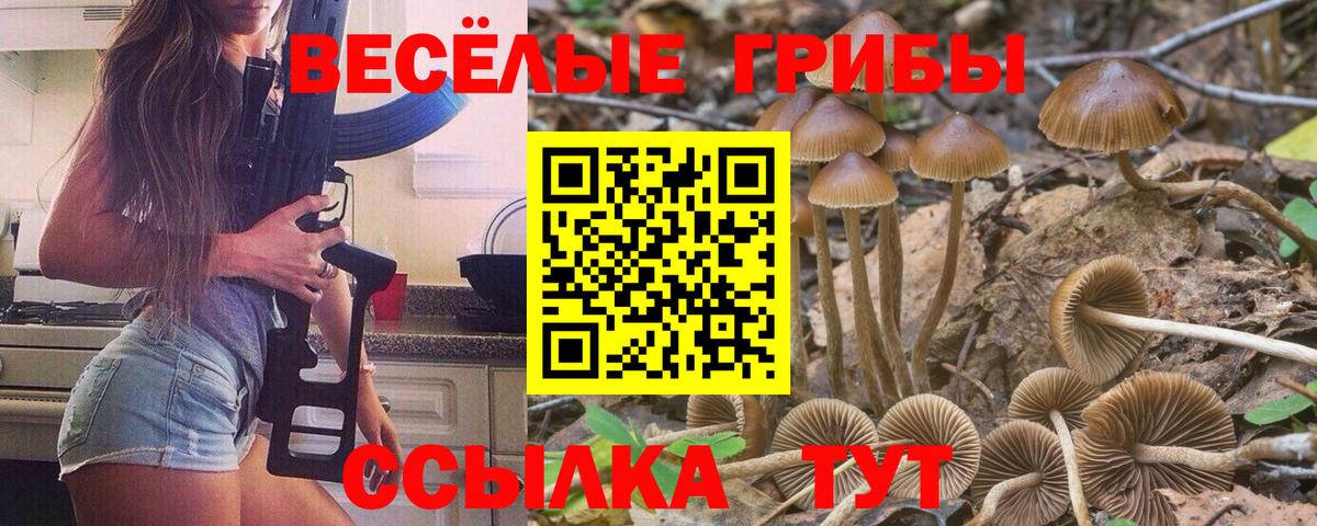 Галлюциногенные грибы мицелий Кудымкар