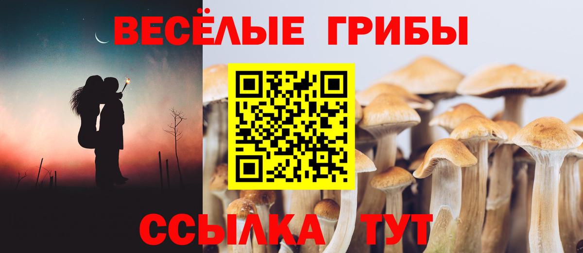 Кудымкар  Псилоцибиновые грибы мухоморы  Вход с VPN 
